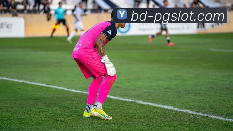 麻将胡了PG官网APP 封面图